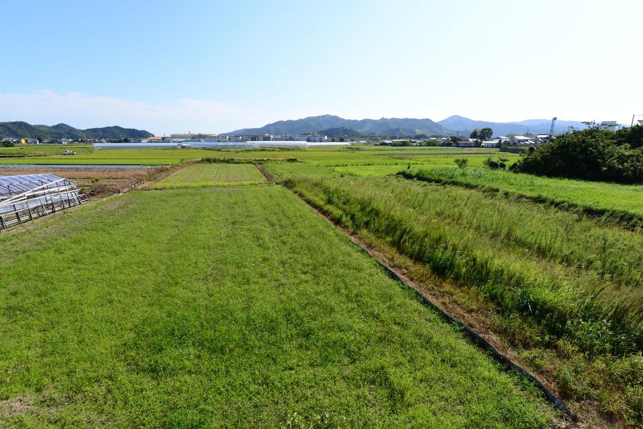 Haruno Guesthouse 고치 외부 사진